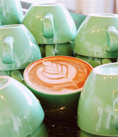 Port Macquarie Business Brokers for Business Broking, Sell your Business or Buy a Business.